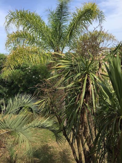 Mare E Monte , Jardin Mediterraneen Et Exotique. Ghisonaccia Esterno foto